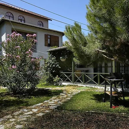 Vila Avsa *
